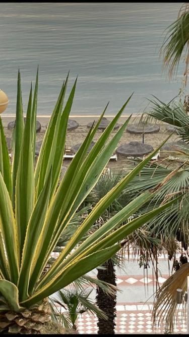 شقة Vista Marina بينالماذينا المظهر الخارجي الصورة